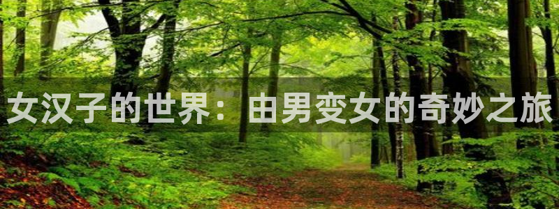 虫虫漫画app