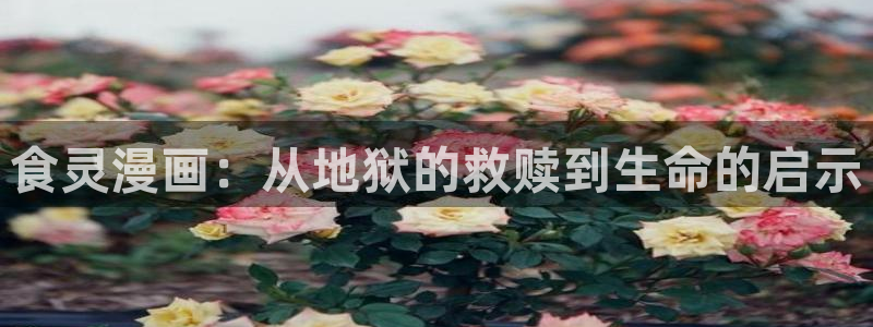 虫虫漫画韩漫入口