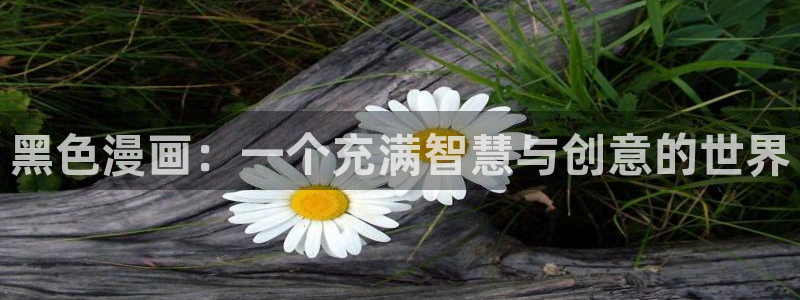 虫虫漫画官方页面免费漫画seo：黑色漫画：一个充满智慧与创意的世界