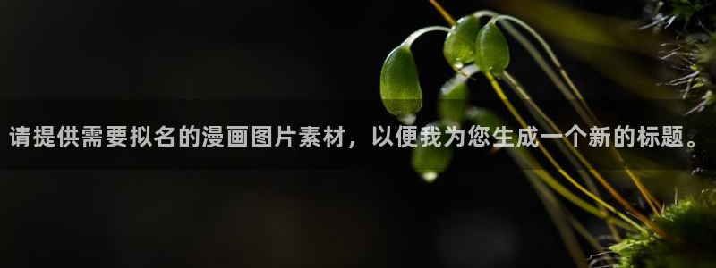 虫虫漫画官方页面免费漫画seo