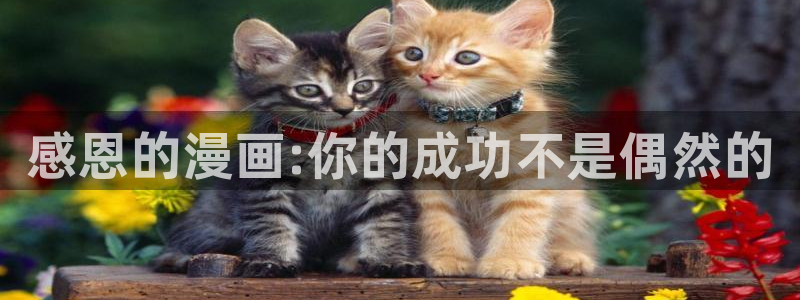 下载虫虫漫画