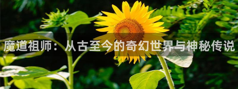 虫虫漫画安全吗