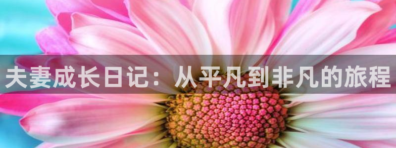 虫虫漫画免费入口