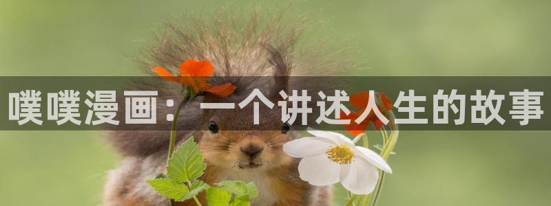 ,虫虫漫画