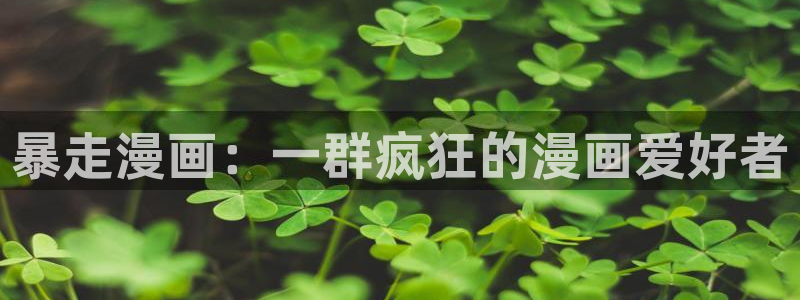 虫虫的动画片