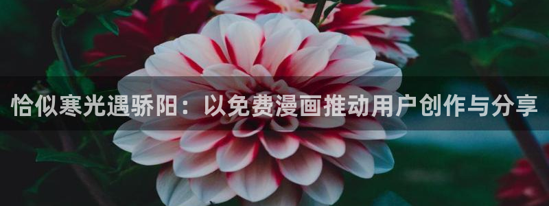 虫虫漫画免费漫画入口页面在线：恰似寒光遇骄阳：以免费漫画推动用户创作与分享