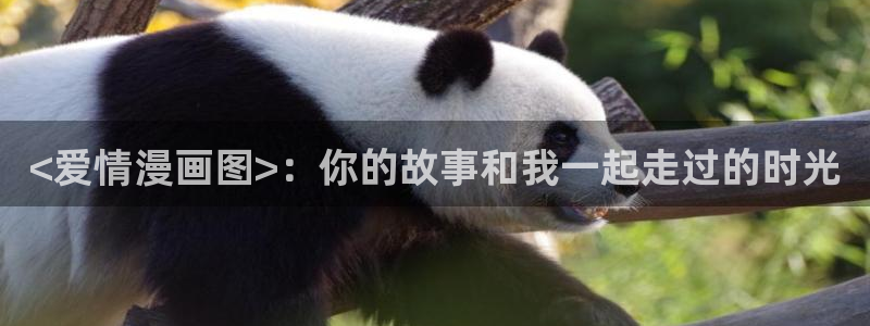虫虫漫画免费观：<爱情漫画图>：你的故事和我一起走过的时光