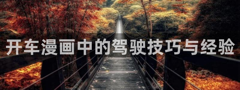 虫虫羞羞漫画：开车漫画中的驾驶技巧与经验