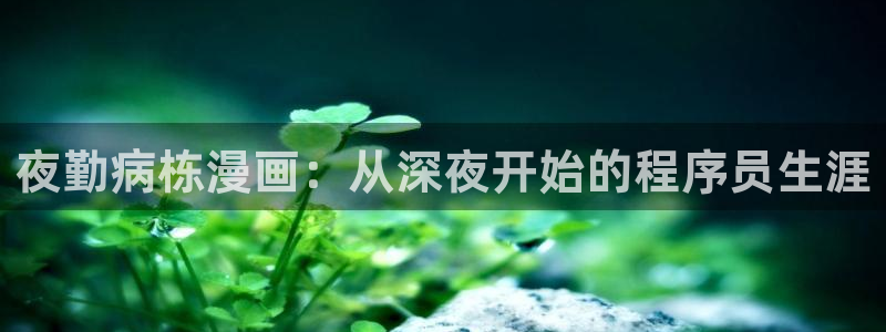 虫虫漫画是什么类型的漫画：夜勤病栋漫画：从深夜开始的程序员生涯