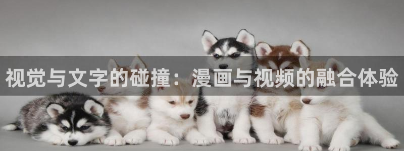 虫虫漫画正版入口在哪里：视觉与文字的碰撞：漫画与视频的融合体验