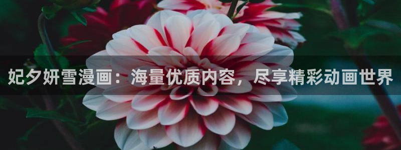 虫虫漫画入口免费：妃夕妍雪漫画：海量优质内容，尽享精彩动画世界
