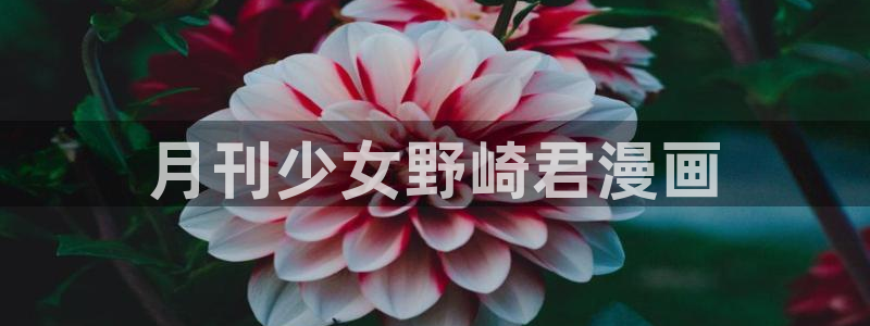 虫虫漫画免费韩漫：月刊少女野崎君漫画
